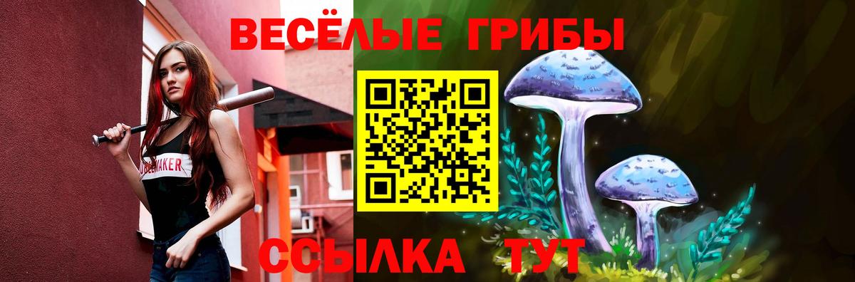 Псилоцибиновые грибы Psilocybe  Вход с VPN  Магадан 